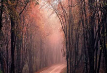 新浪爱彩的西甲积分榜能实时反映西甲球队竞争态势吗？