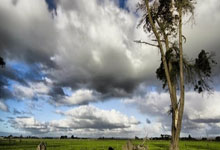 乌拉圭2022世界杯阵容，老炮压阵+新星崛起，能否续写荣光？